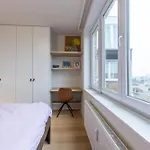 Lecomte - The Shoreline Coastal Walks 190 *